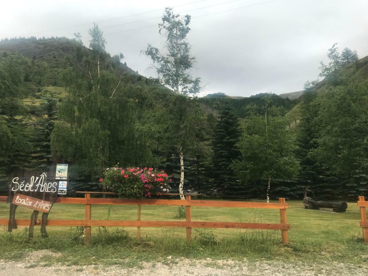 Studio Chaleureux A La Foux D'Allos Eksteriør bilde